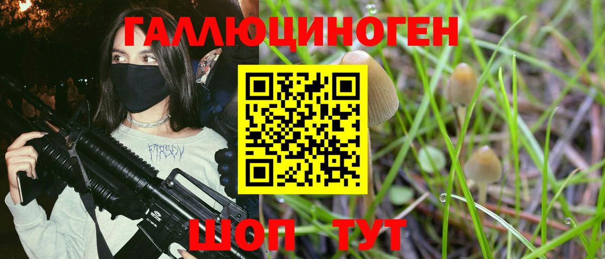 Псилоцибиновые грибы MAGIC MUSHROOMS  Вход с VPN  Гусь-Хрустальный 