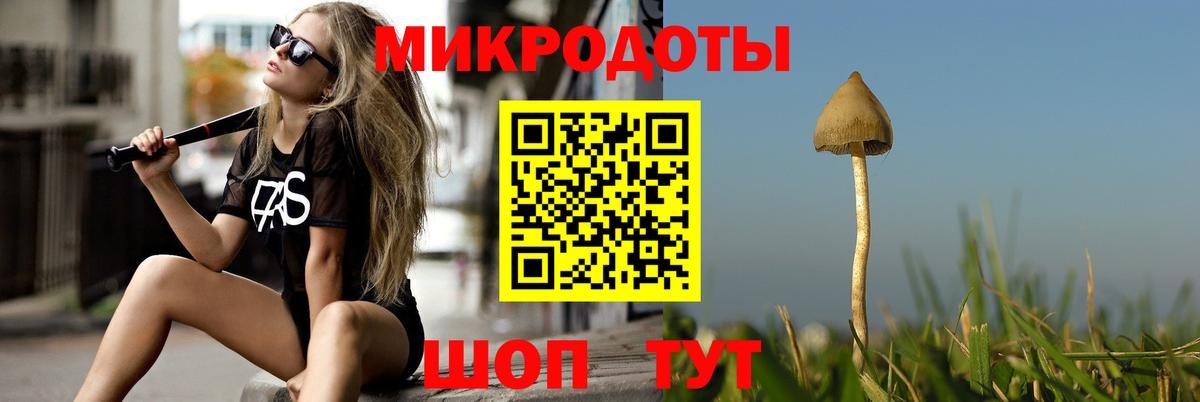 Галлюциногенные грибы GOLDEN TEACHER Гусь-Хрустальный